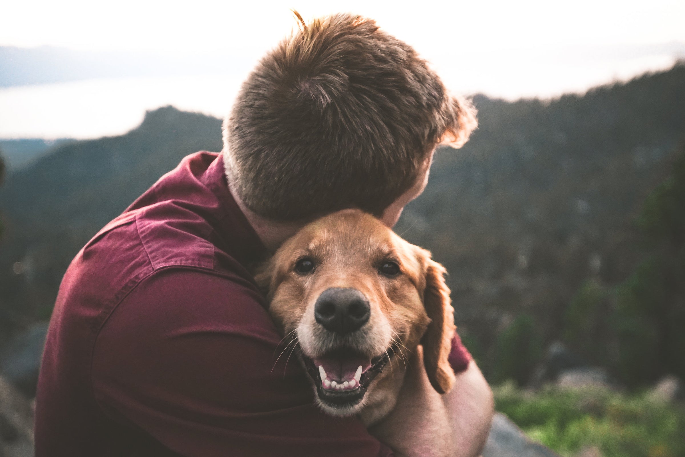 Dog smiles while being hugged by a man outdoors.